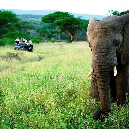 Thula Thula Exclusive Private Game Reserve & Lodge Ntambanana Zewnętrze zdjęcie