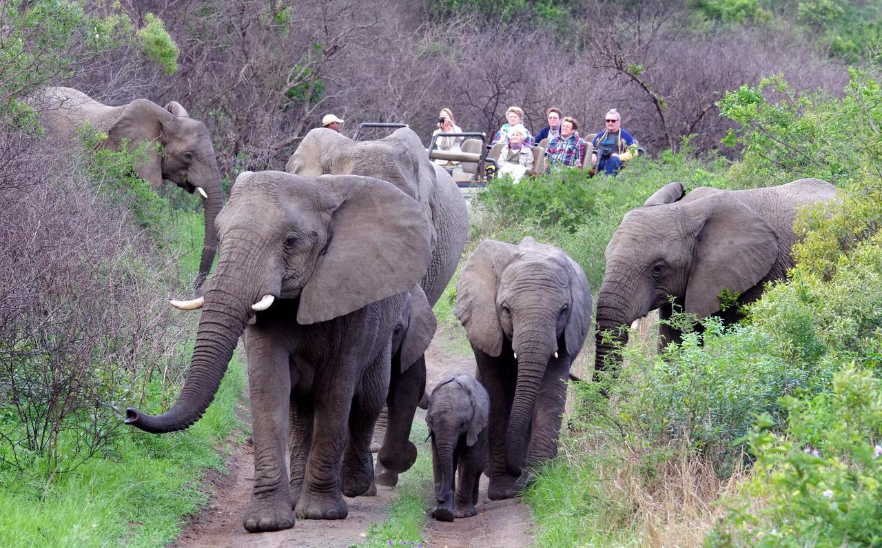 Thula Thula Exclusive Private Game Reserve & Lodge Ntambanana Zewnętrze zdjęcie