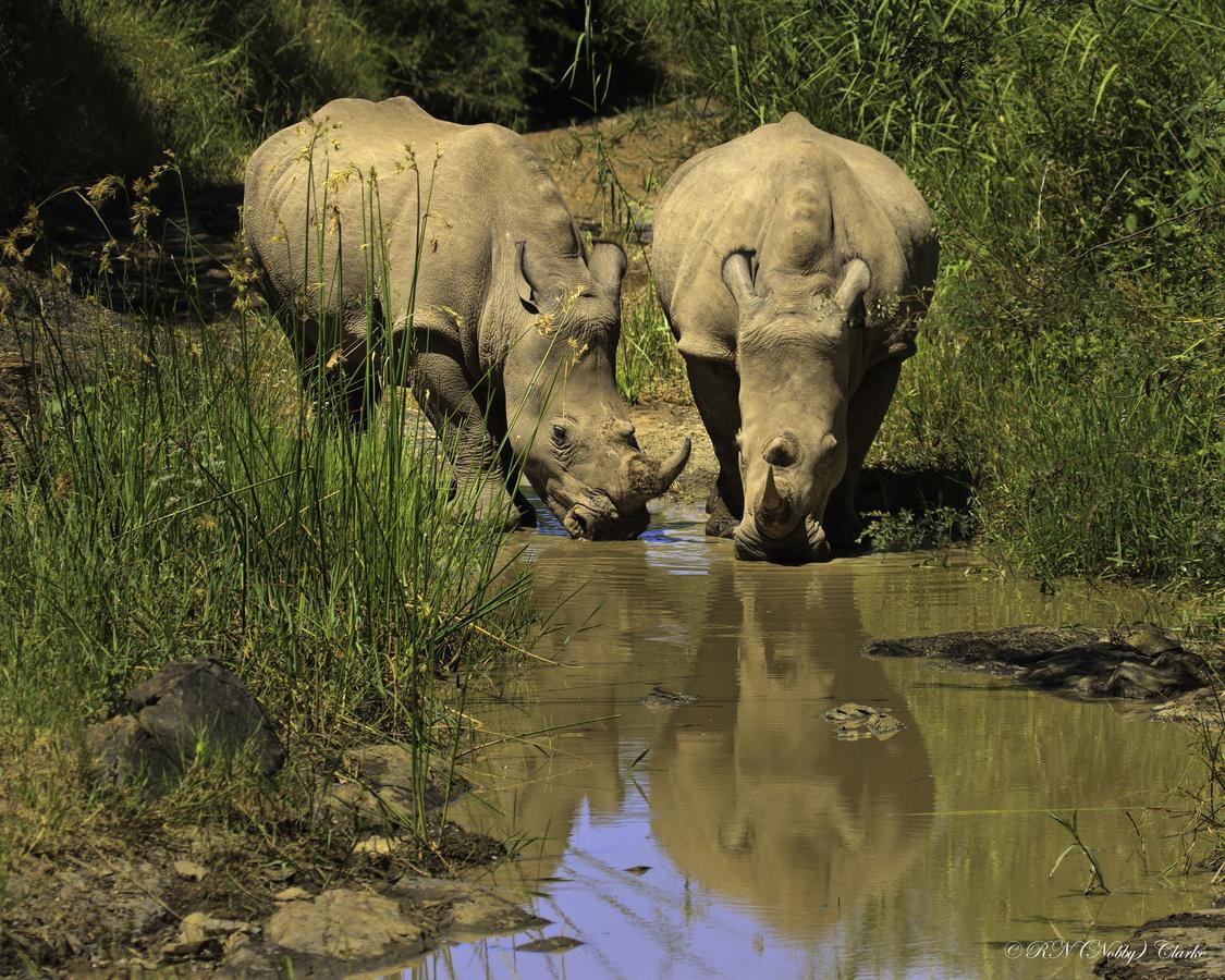 Thula Thula Exclusive Private Game Reserve & Lodge Ntambanana Zewnętrze zdjęcie