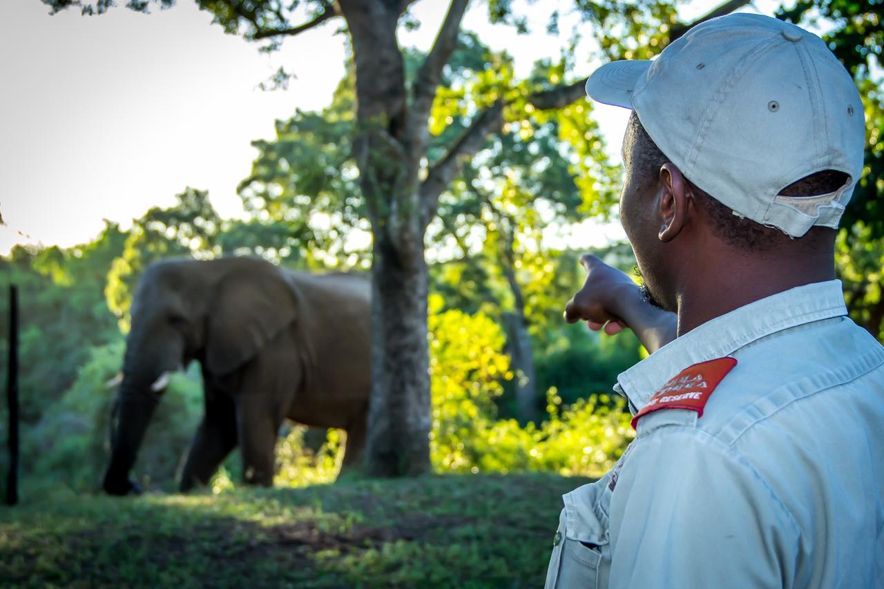 Thula Thula Exclusive Private Game Reserve & Lodge Ntambanana Zewnętrze zdjęcie