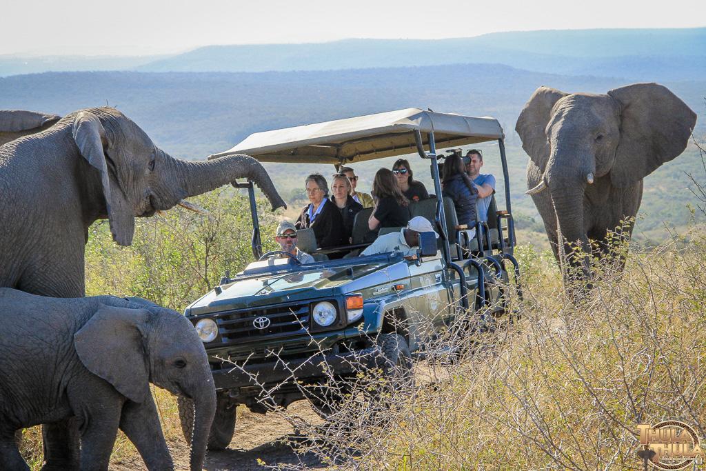 Thula Thula Exclusive Private Game Reserve & Lodge Ntambanana Zewnętrze zdjęcie