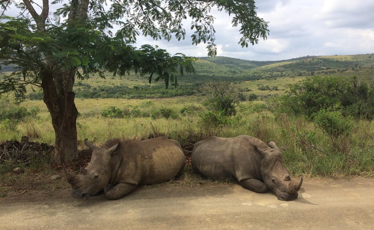 Thula Thula Exclusive Private Game Reserve & Lodge Ntambanana Zewnętrze zdjęcie